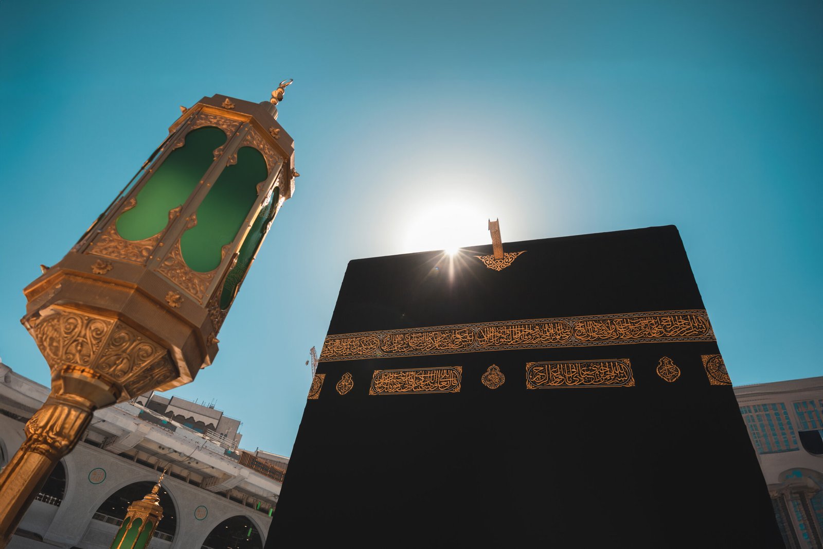 fded476c-f63a-4541-8263-c586ef4af2d4